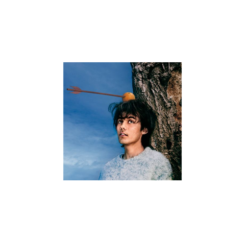 aron_TCFR_digital